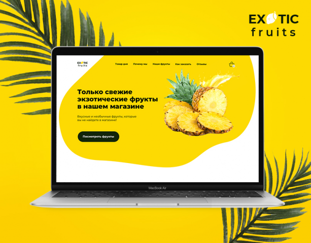 Разработка дизайна лендинга для магазина Exotic Fruits