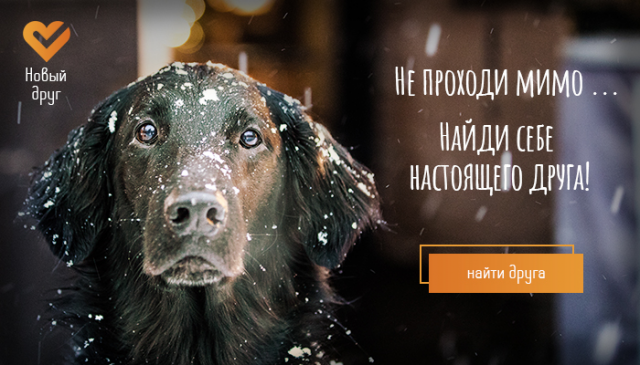 Приют для животных
