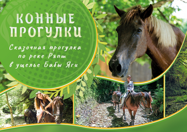 Плакат Конные прогулки