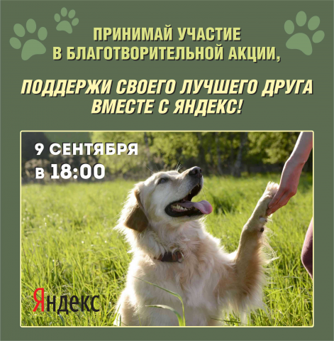 Работа 4349213