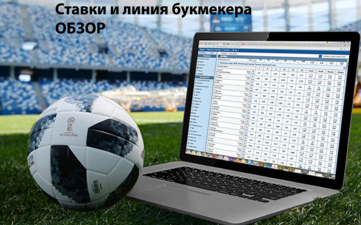 Ставки и линия БК Мелбет