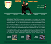 Дизайн сайта охранной компании