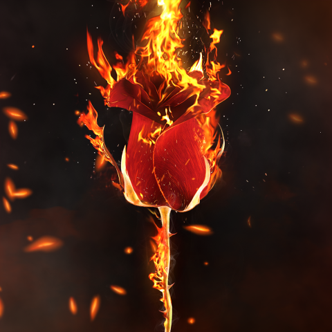 NFT—Fire roses | Binance & Imanbek