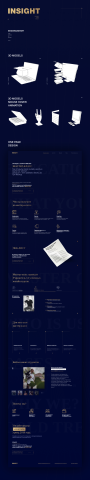 Lamding Page — INSIGHT