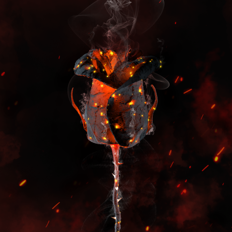 NFT—Smoulder roses | Binance & Imanbek