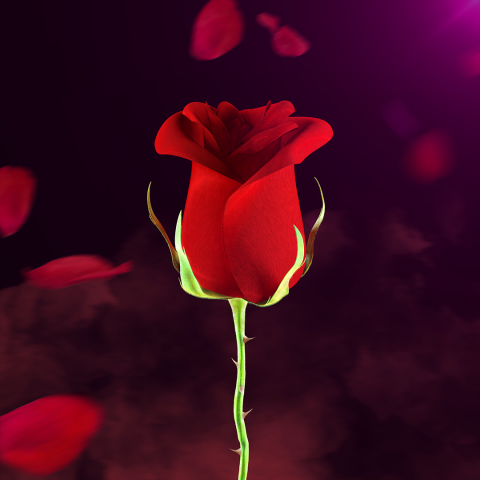 NFT—Classic roses | Binance & Imanbek