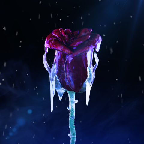 NFT—Cold roses | Binance & Imanbek
