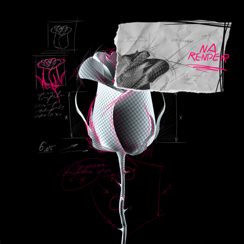 NFT—Draft roses | Binance & Imanbek