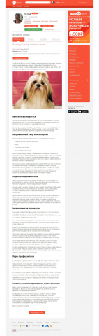 Почему у ши-тцу слезятся глаза