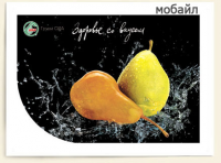 Работа 2926666