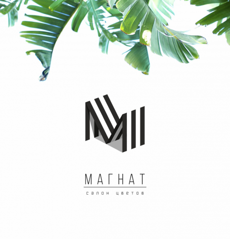 Магнат