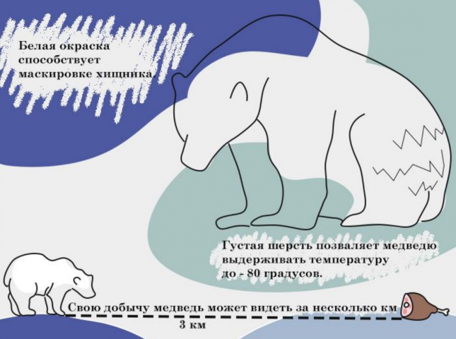 Проект по защите белых медведей.
