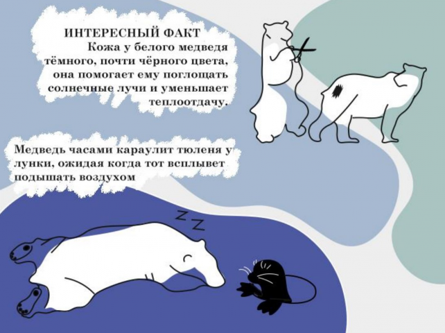Проект по защите белых медведей.