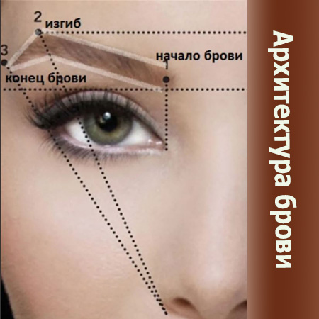 Инфографика