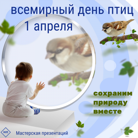 конкурс баннеров ко дню птиц