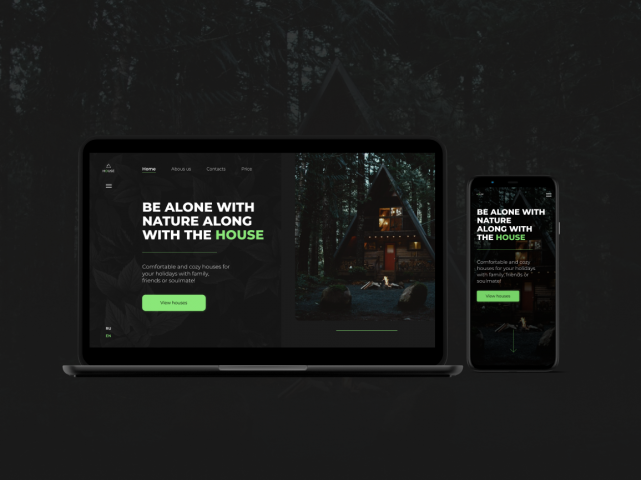 house - landing page