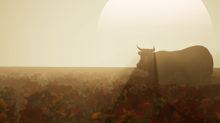 cow