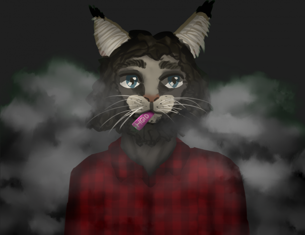 Фурри мейнкун