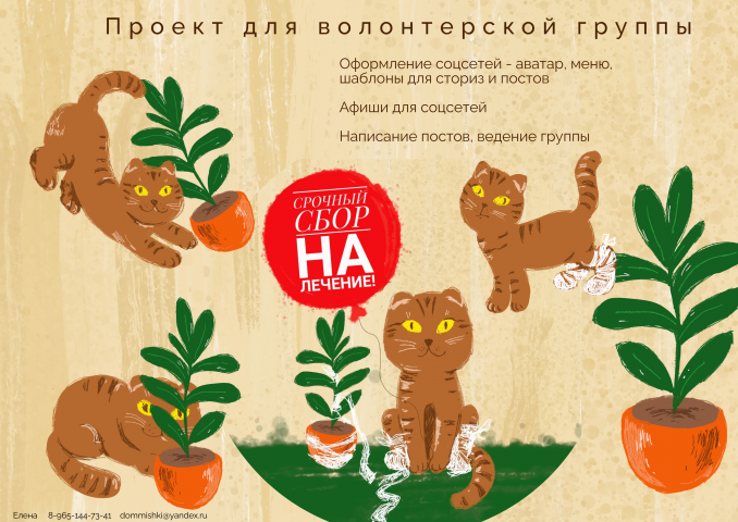 Проект для волонтеров