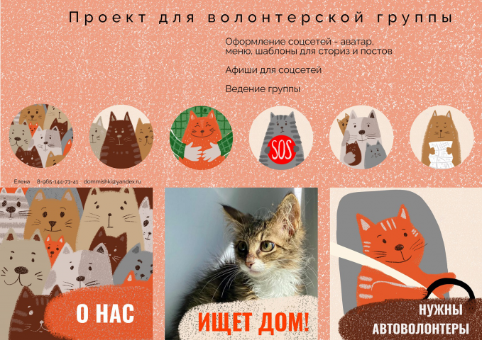 Проект для волонтерской группы