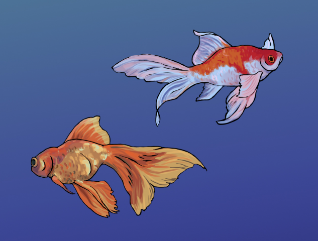 Goldfish