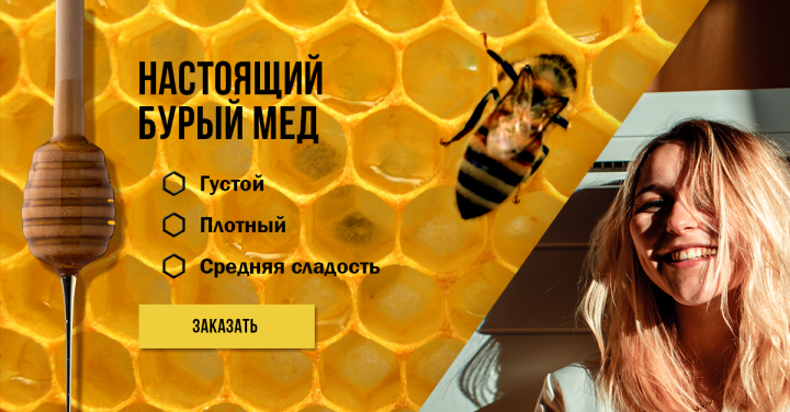 Настоящий бурый мед