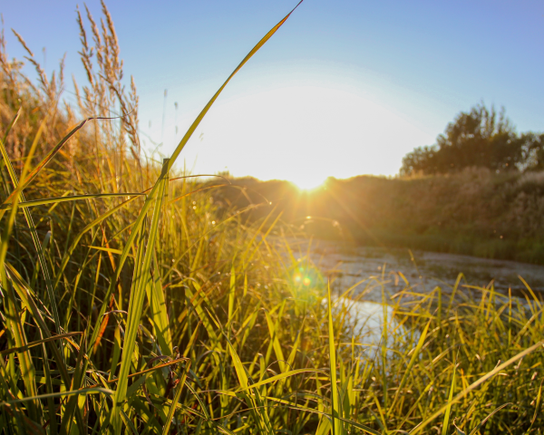 Работа 4001220