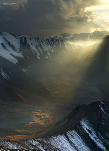 Light in the Dark