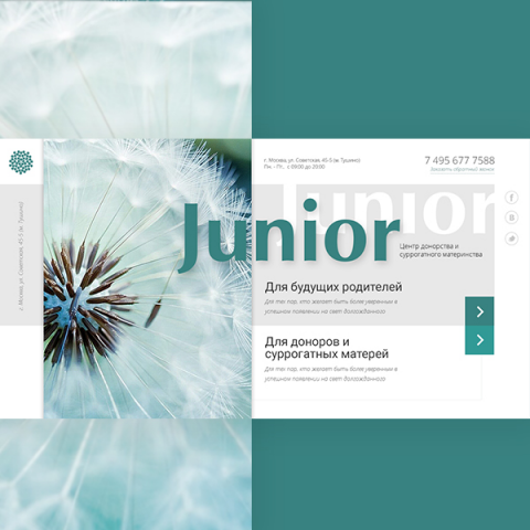 Junior - центр донорства и суррогатного материнства