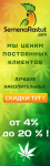 Продажа семян