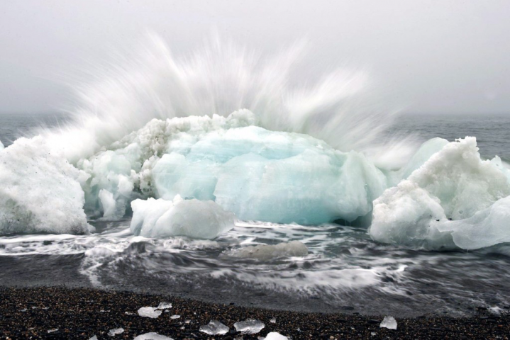 Остров Врангеля – последнее убежище мамонтов