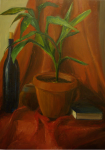 still life 3