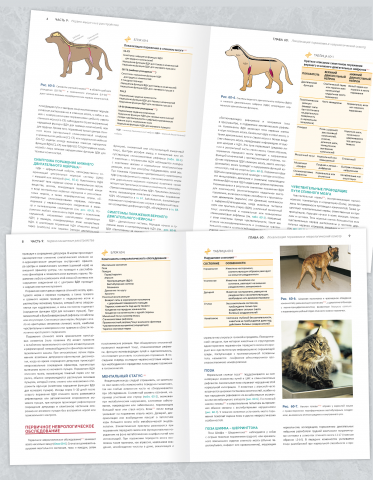 Верстка книги Small Animal Internal Medicine