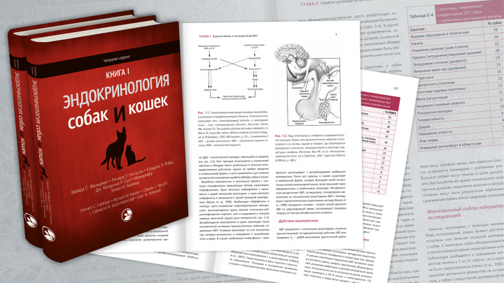 Верстка книги "Эндокринология собак и кошек"