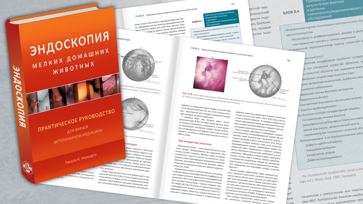 Верстка книги "Эндоскопия мелких домашних животных"