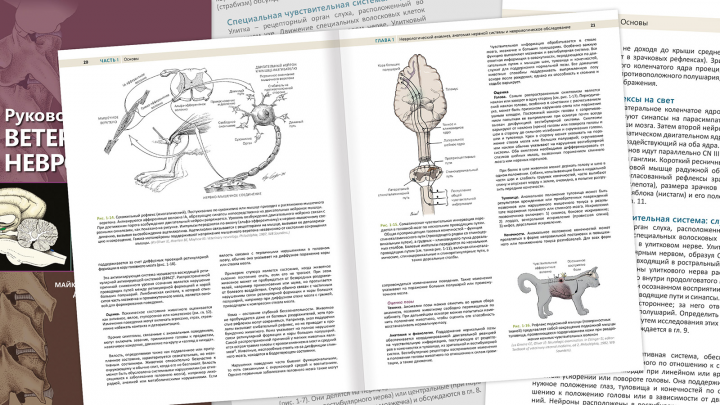 Верстка книги - Руководство по ВЕТЕРИНАРНОЙ НЕВРОЛОГИИ