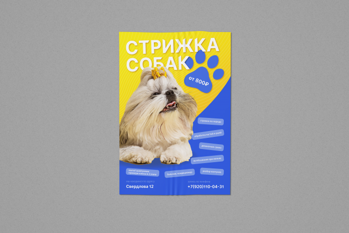 Плакат "Стрижка собак" А4