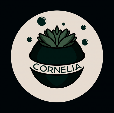 Одна из моих работ