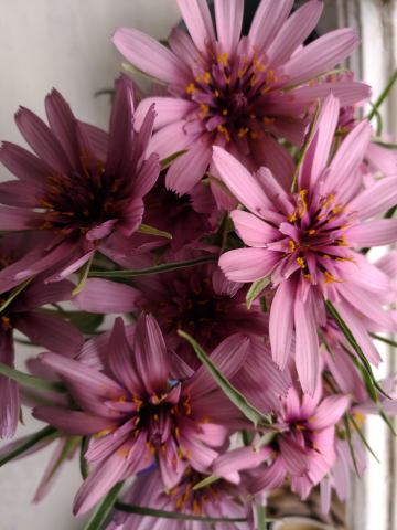 Бережный уход за кожей лица