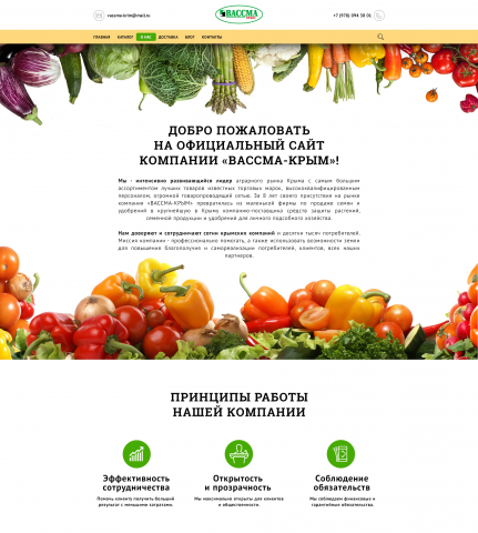 Дизайн сайта для компании "ВассмаКрым". Страница "О НАС"
