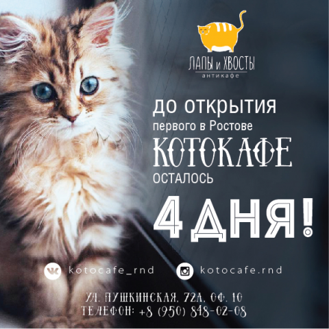 Работа 3156815