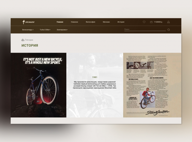 Specialized История