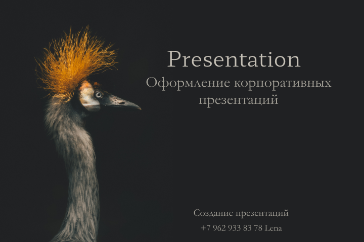 Создание презентаций