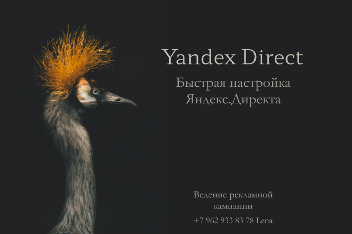 YD
