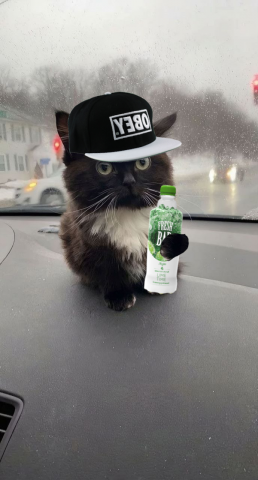 Чмоня с фрешбаром