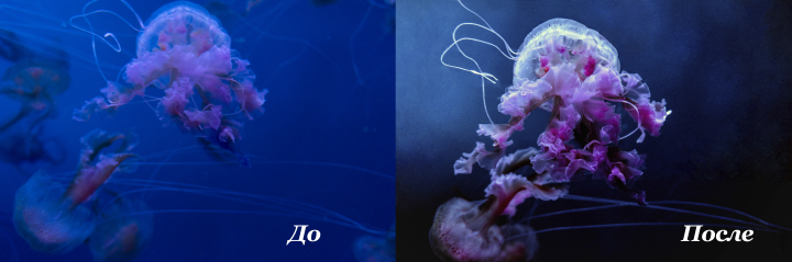 Работа 3826162