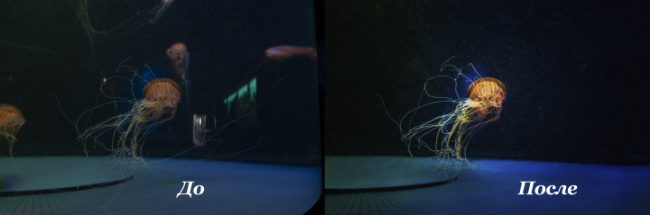 Работа 3826158