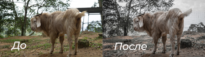 Работа 3826143