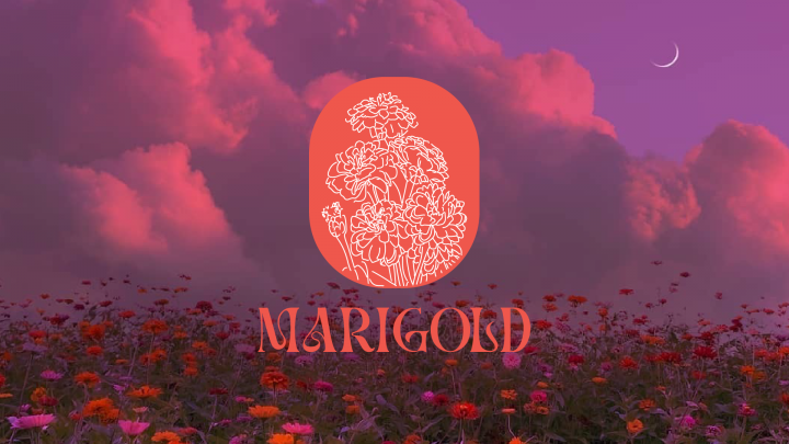 Marigold flower shop