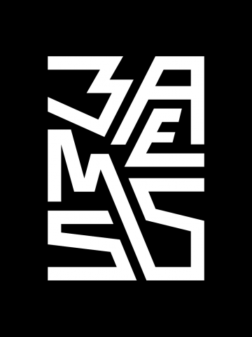 zms logo 2